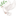 🕊️